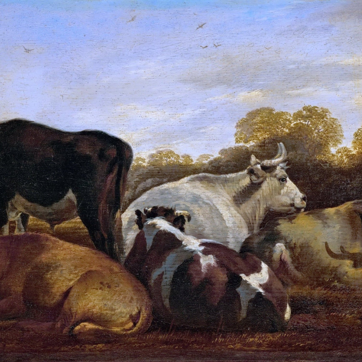animals Oil Painting - Hand - Painted Resting Cows in Pasture - Oil Painting Haven