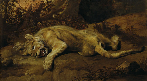 Animals Oil Painting - Hand - Painted Resting Lion on Rock - Oil Painting Haven