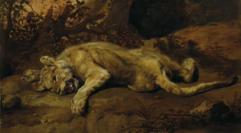 Animals Oil Painting - Hand - Painted Resting Lion on Rock - Oil Painting Haven