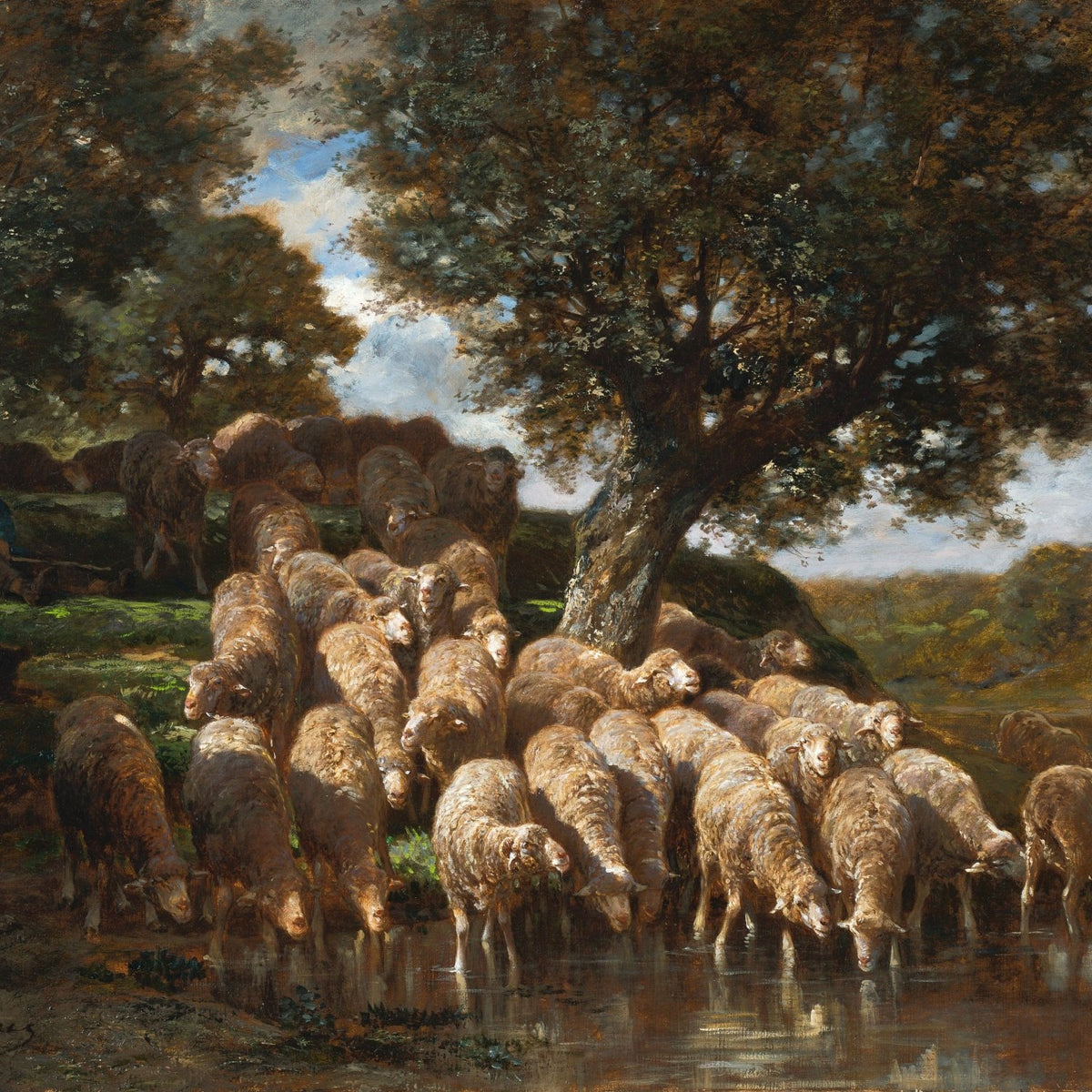 animals Oil Painting - Hand - Painted Sheep at the Watering Hole - Oil Painting Haven