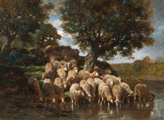 animals Oil Painting - Hand - Painted Sheep at the Watering Hole - Oil Painting Haven