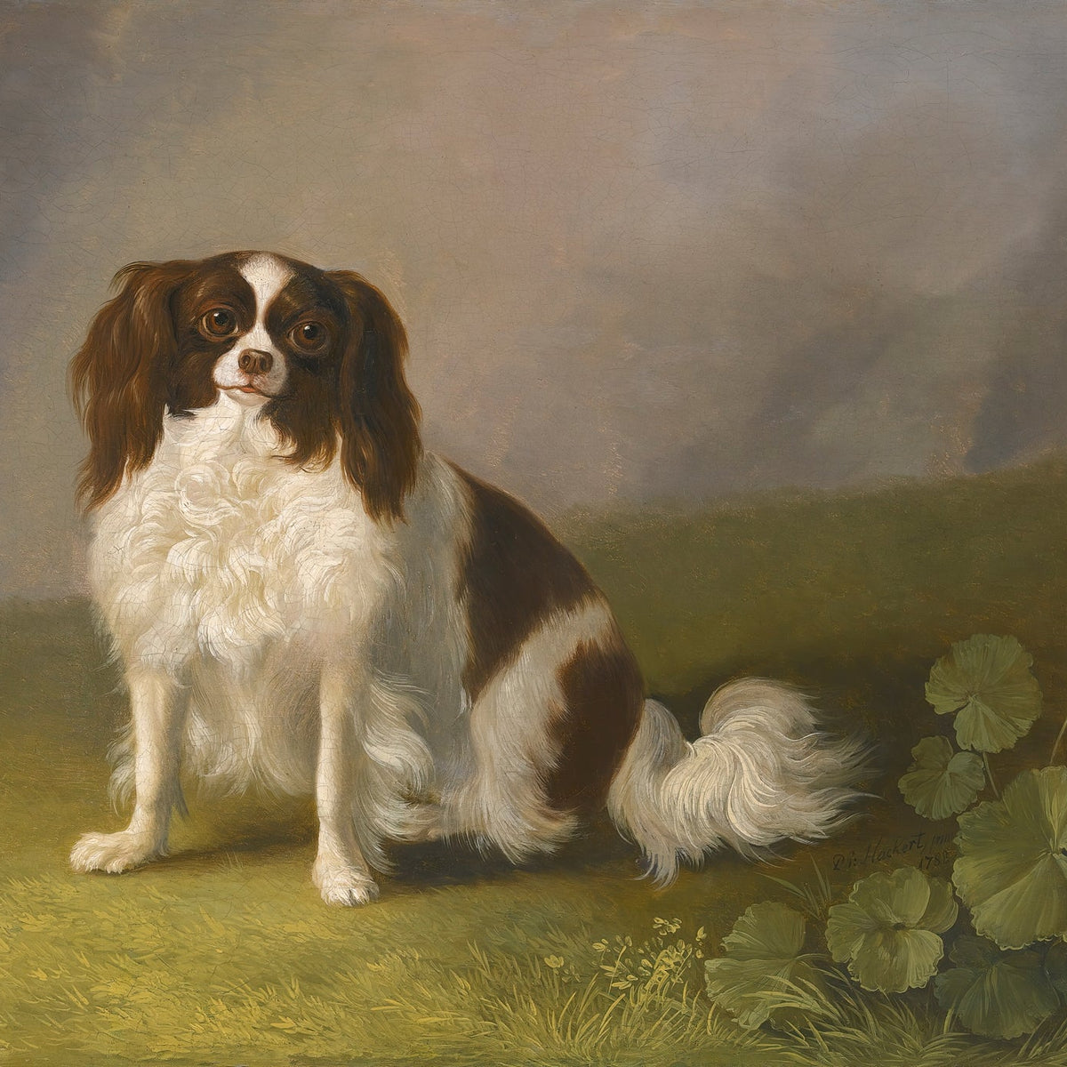 animals Oil Painting - Hand - Painted Small Dog Portrait - Oil Painting Haven