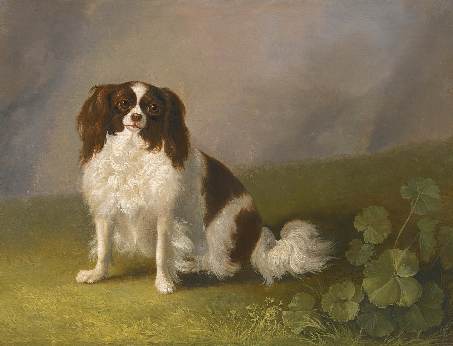animals Oil Painting - Hand - Painted Small Dog Portrait - Oil Painting Haven