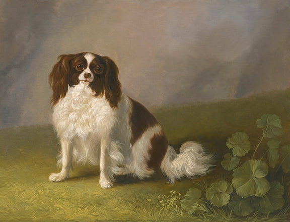 animals Oil Painting - Hand - Painted Small Dog Portrait - Oil Painting Haven