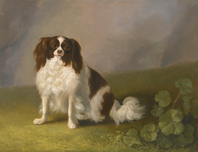 animals Oil Painting - Hand - Painted Small Dog Portrait - Oil Painting Haven