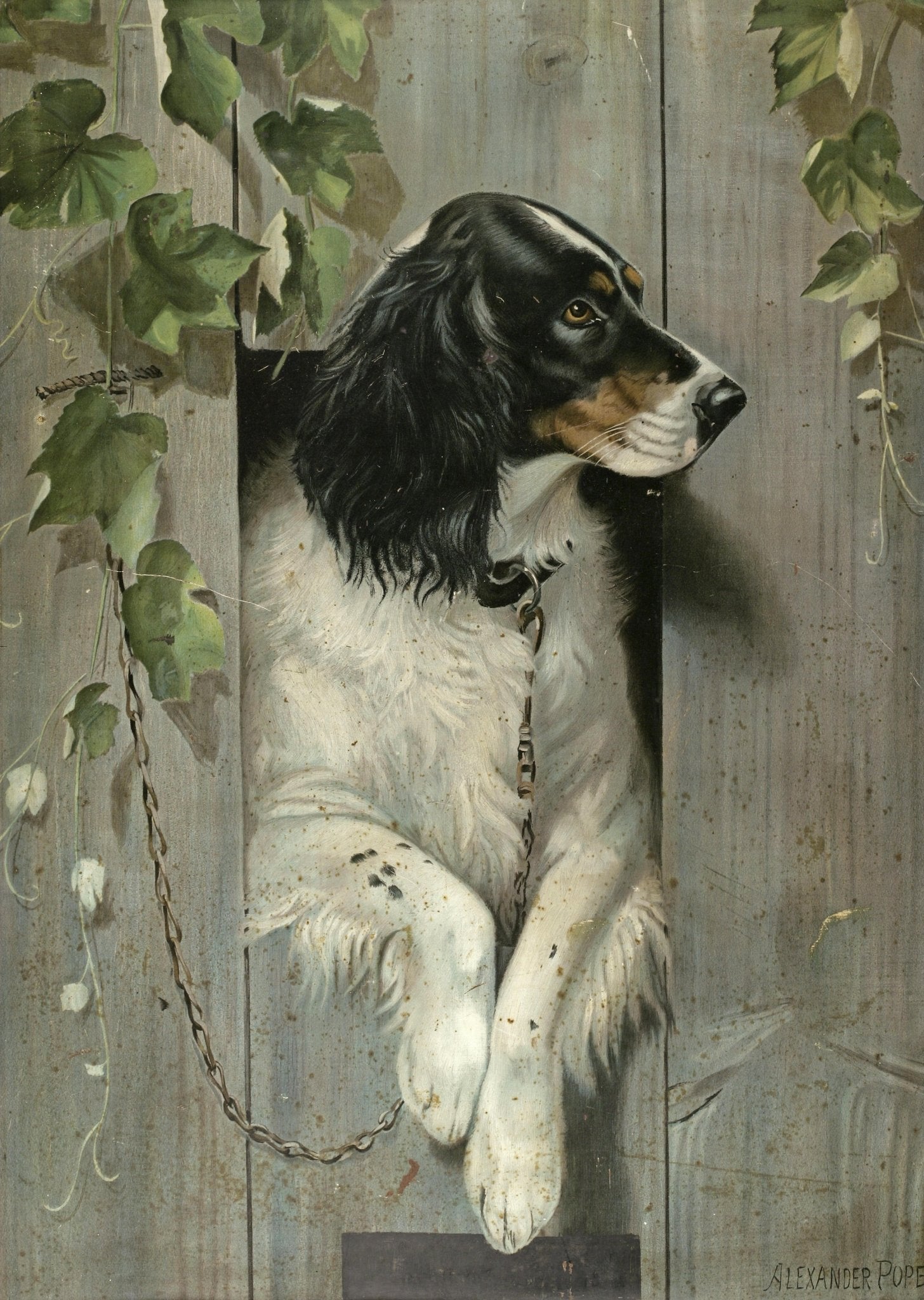 Animals Oil Painting - Hand - Painted Spaniel Dog Portrait - Oil Painting Haven