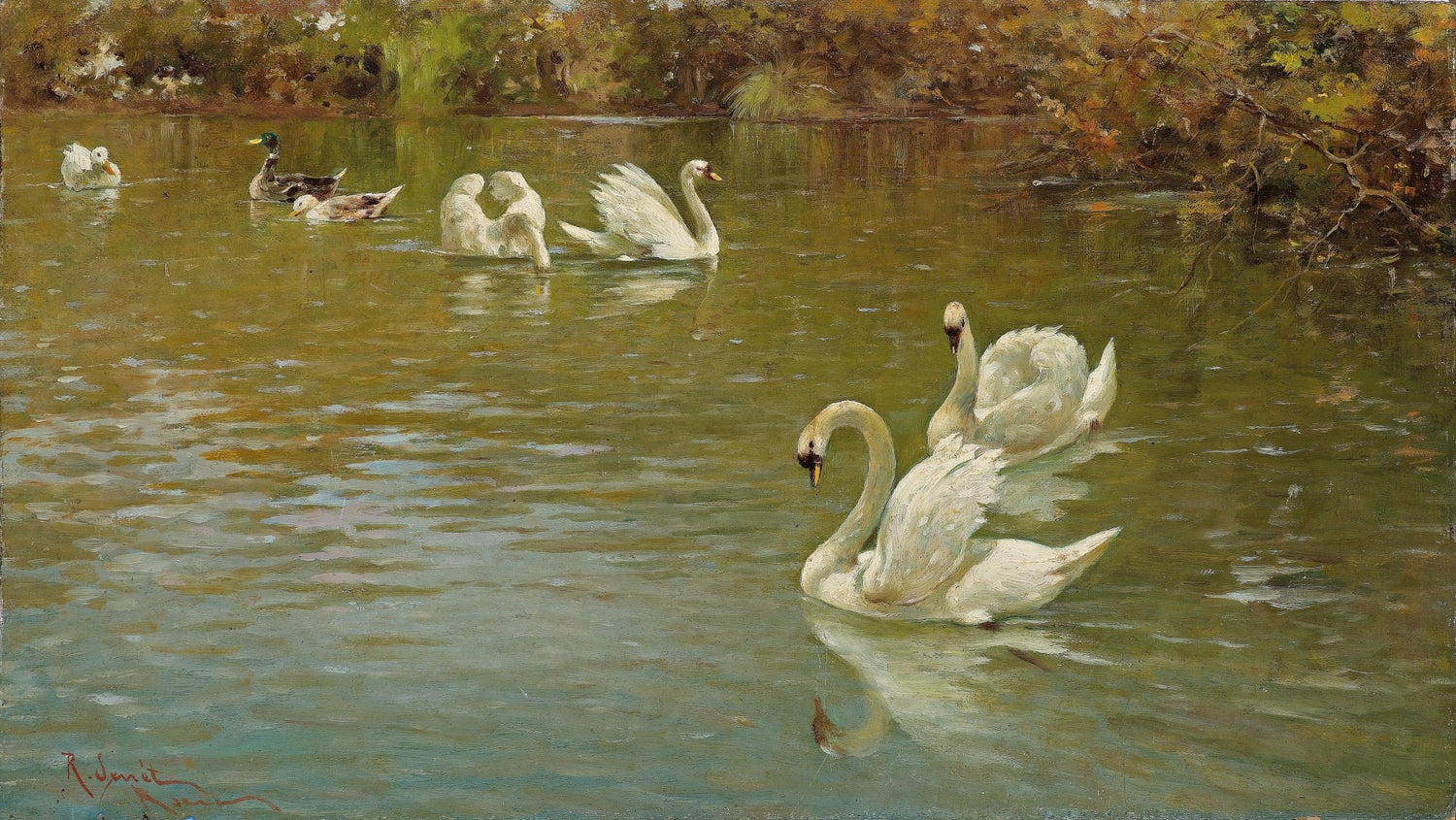 animals Oil Painting - Hand - Painted Swans on a Quiet Pond - Oil Painting Haven