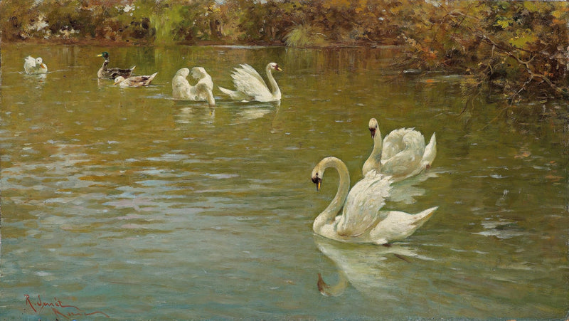 animals Oil Painting - Hand - Painted Swans on a Quiet Pond - Oil Painting Haven