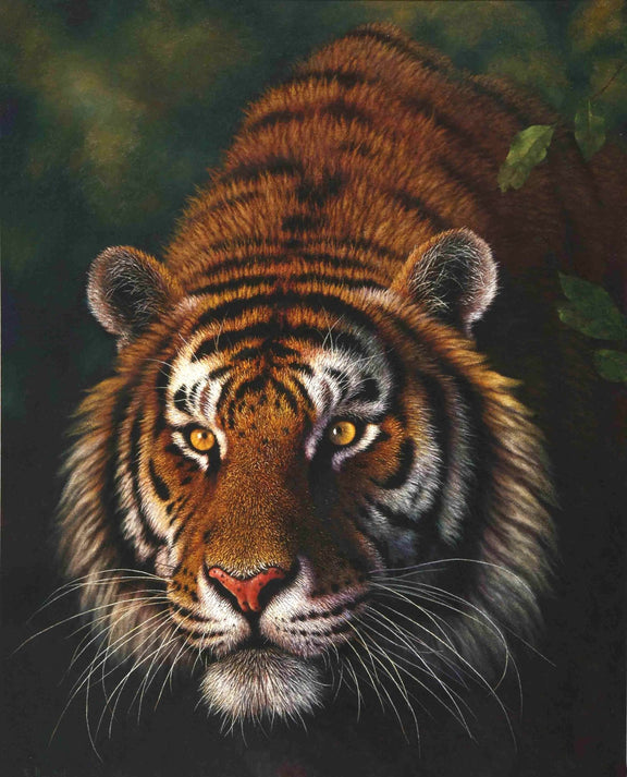 Animals Oil Painting - Hand - Painted Tiger Portrait on Dark Background - Oil Painting Haven