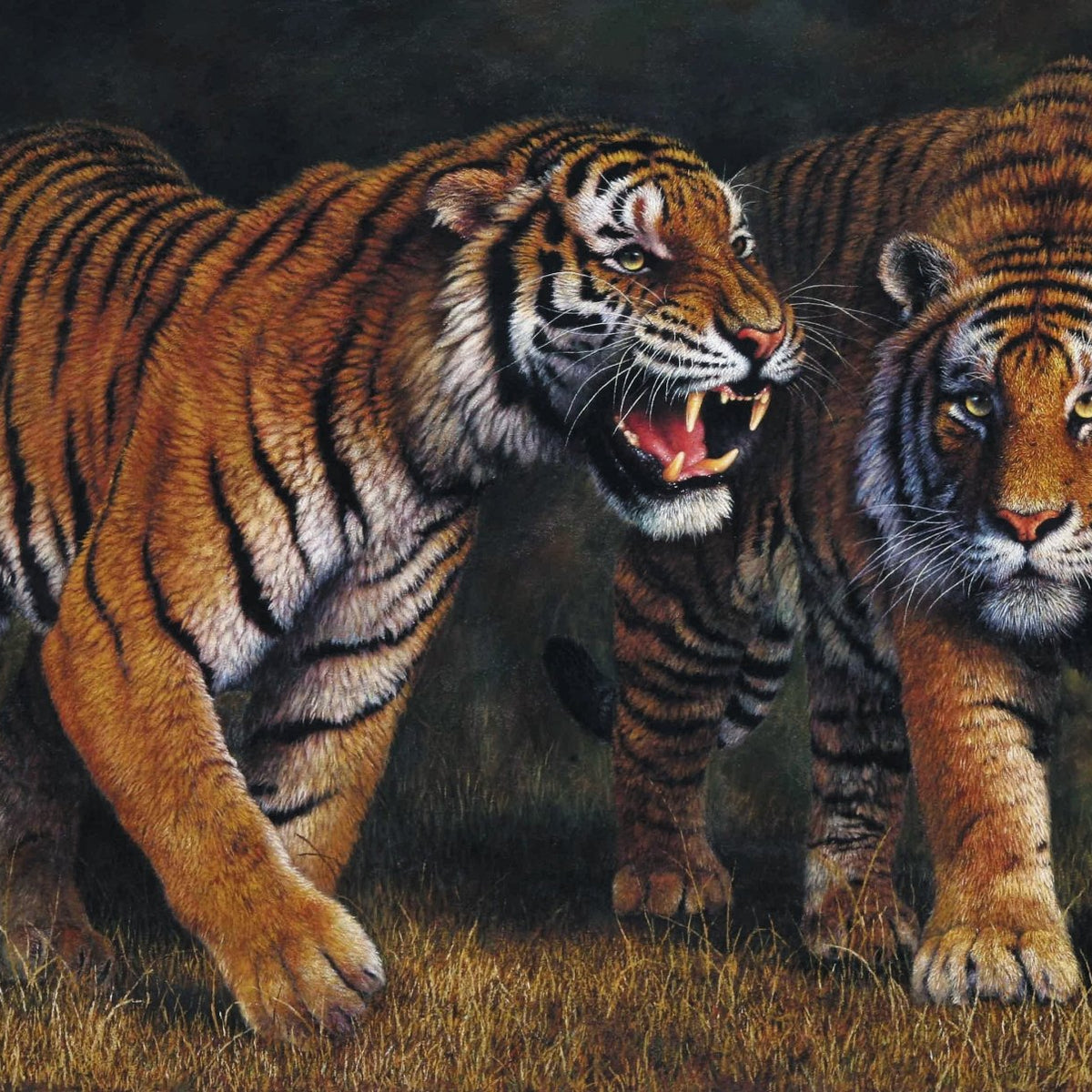 Animals Oil Painting - Hand - Painted Two Tigers in Forest - Oil Painting Haven