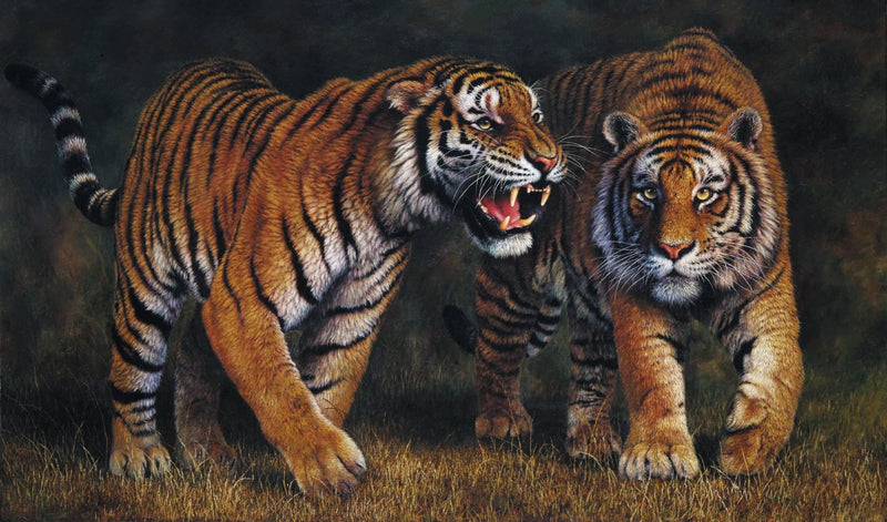 Animals Oil Painting - Hand - Painted Two Tigers in Forest - Oil Painting Haven