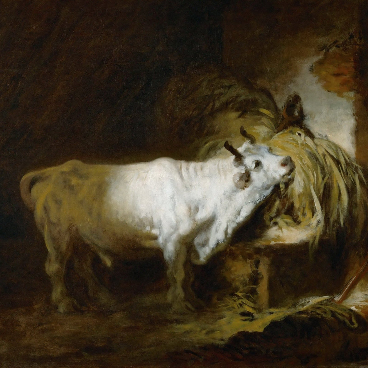 Animals Oil Painting - Hand - Painted White Bull in Stable - Oil Painting Haven