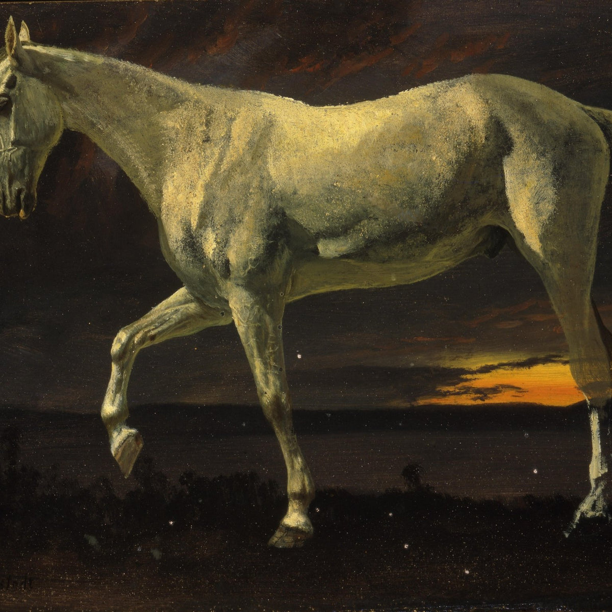 Animals Oil Painting - Hand - Painted White Horse at Dusk - Oil Painting Haven