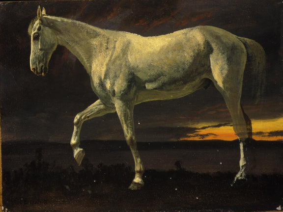 Animals Oil Painting - Hand - Painted White Horse at Dusk - Oil Painting Haven