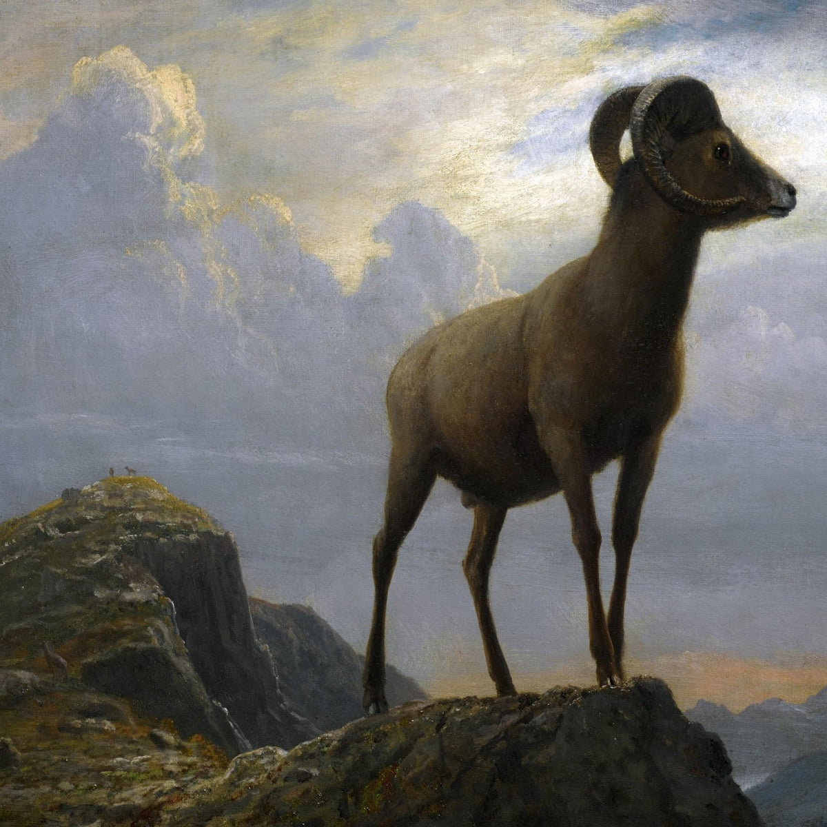 Animals Oil Painting - Hand - Painted Wild Ram on Rocky Peak - Oil Painting Haven