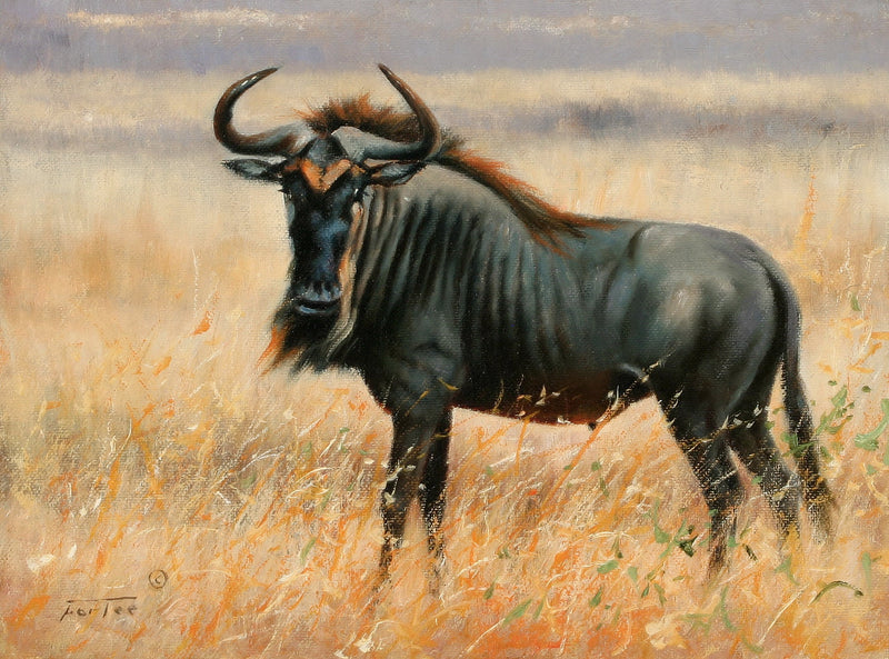 Animals Oil Painting - Hand - Painted Wildebeest in Grassland - Oil Painting Haven