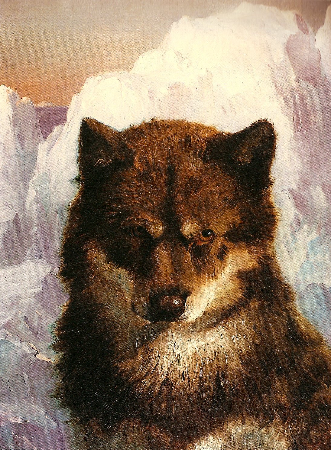 Animals Oil Painting - Hand - Painted Wolf Portrait Art - Oil Painting Haven