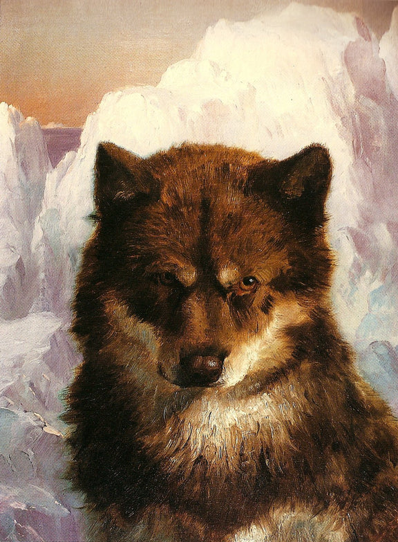 Animals Oil Painting - Hand - Painted Wolf Portrait Art - Oil Painting Haven