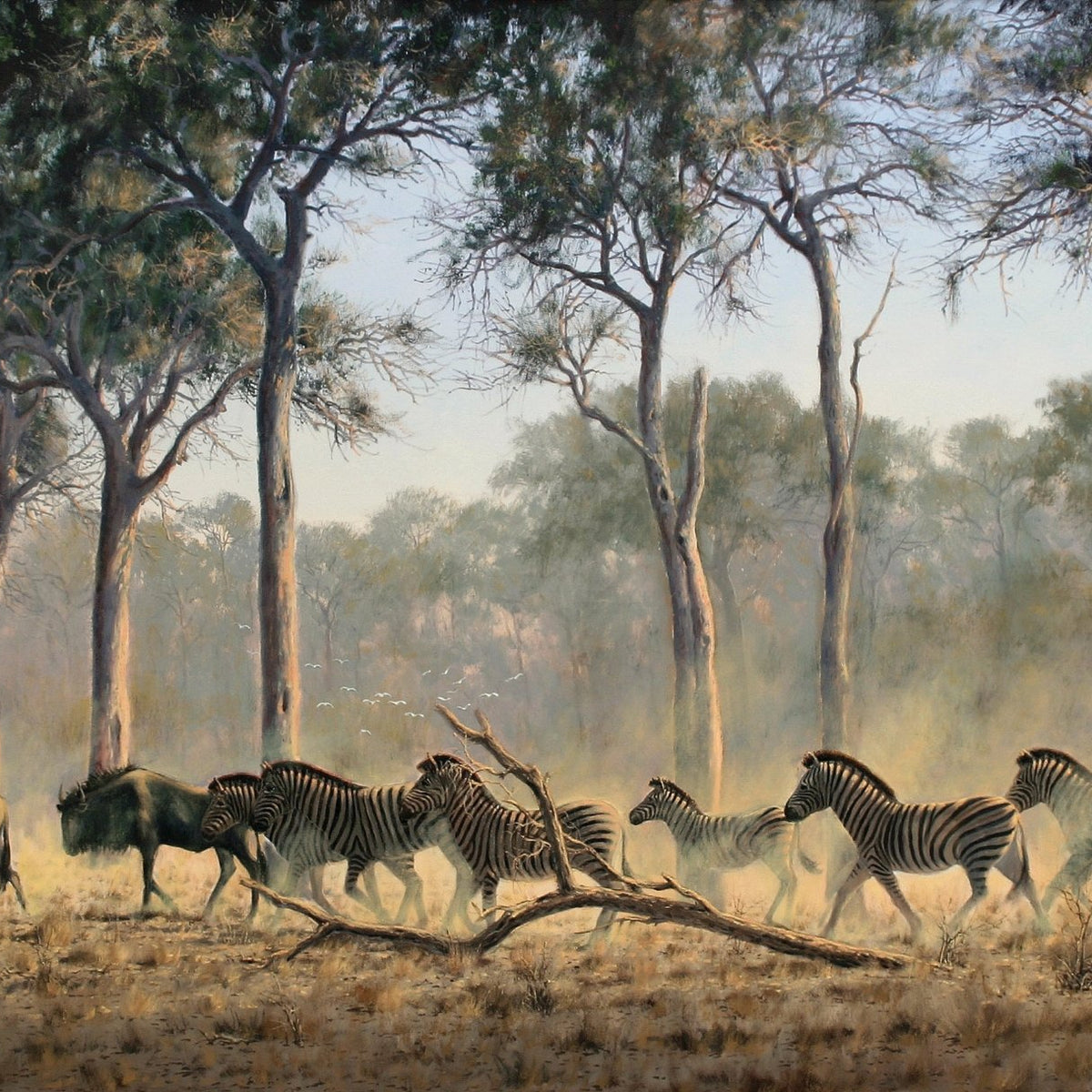 Animals Oil Painting - Hand - Painted Zebras and Wildebeest - Oil Painting Haven