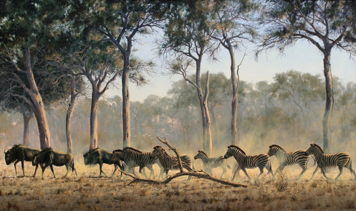 Animals Oil Painting - Hand - Painted Zebras and Wildebeest - Oil Painting Haven