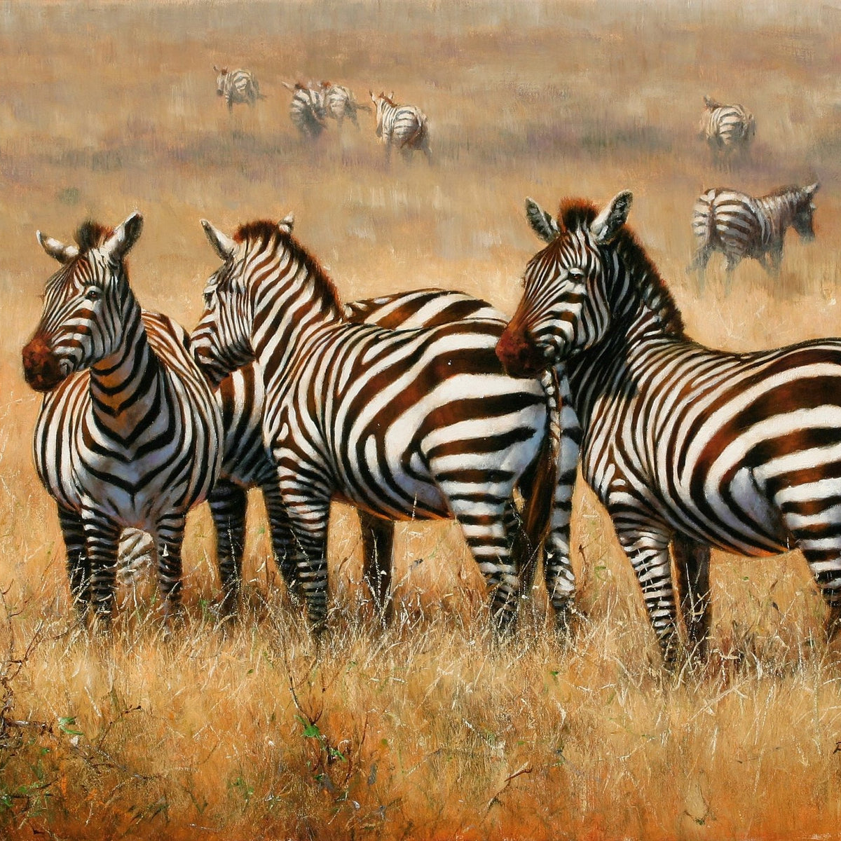 Animals Oil Painting - Hand - Painted Zebras in Golden Savannah - Oil Painting Haven