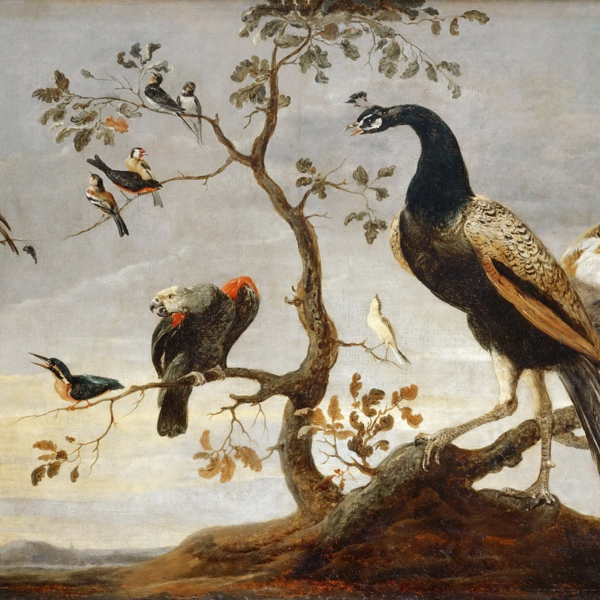 Animals Oil Painting - Peacocks and Exotic Birds on Branches - Oil Painting Haven