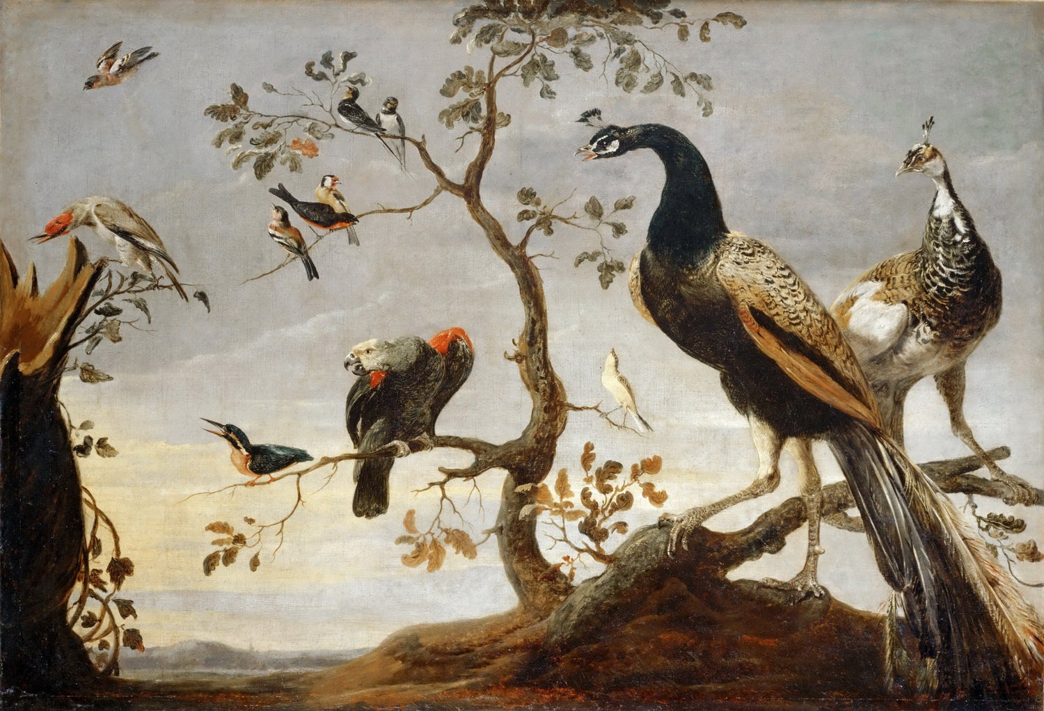 Animals Oil Painting - Peacocks and Exotic Birds on Branches - Oil Painting Haven