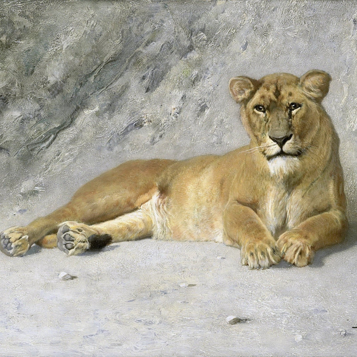 Animals Oil Painting - Resting Lioness in Soft Wilderness Light - Oil Painting Haven