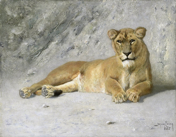 Animals Oil Painting - Resting Lioness in Soft Wilderness Light - Oil Painting Haven