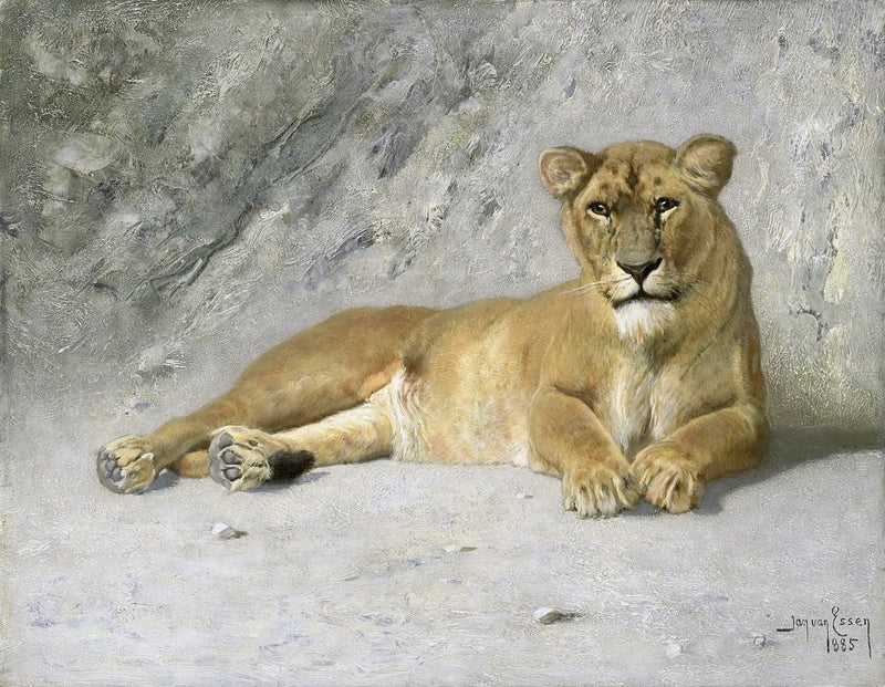 Animals Oil Painting - Resting Lioness in Soft Wilderness Light - Oil Painting Haven