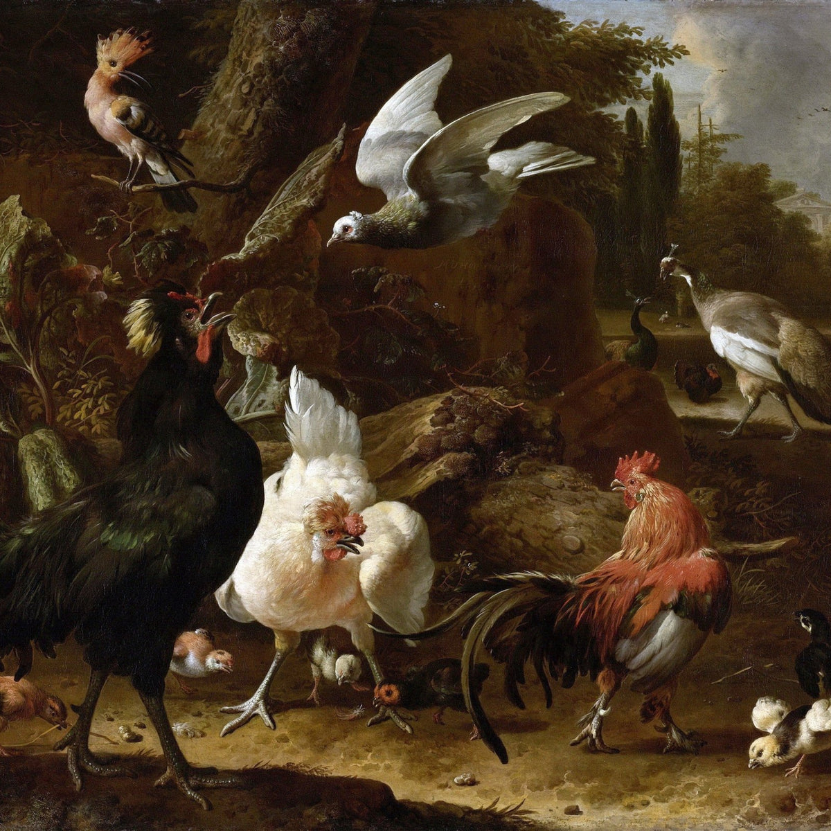 Animals Oil Painting - Roosters and Exotic Birds in Garden Park - Oil Painting Haven