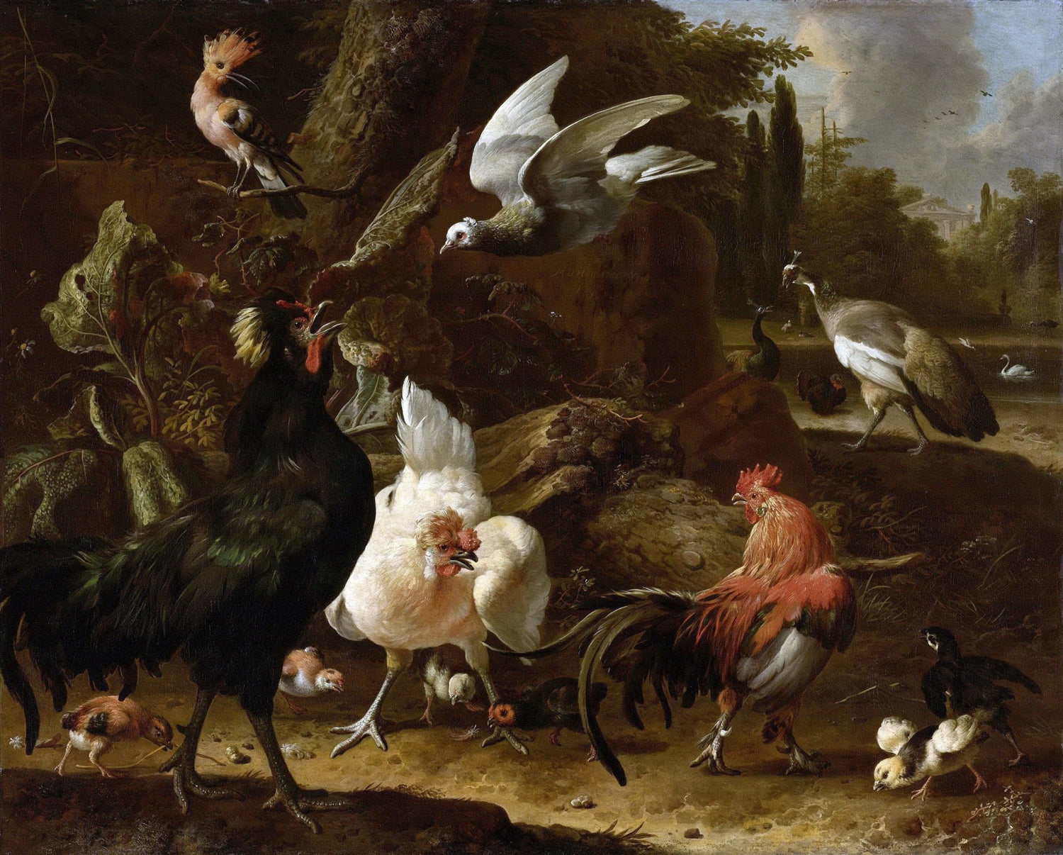 Animals Oil Painting - Roosters and Exotic Birds in Garden Park - Oil Painting Haven