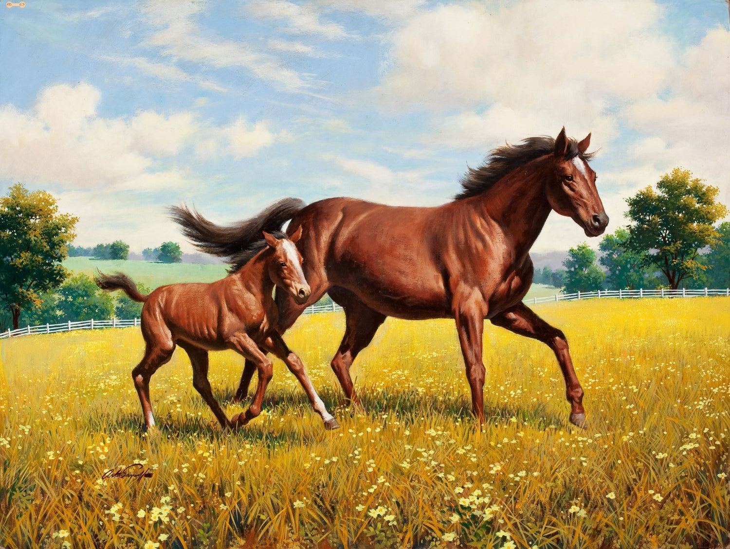 Animals Oil Painting - Running Mare and Foal in a Golden Pasture - Oil Painting Haven