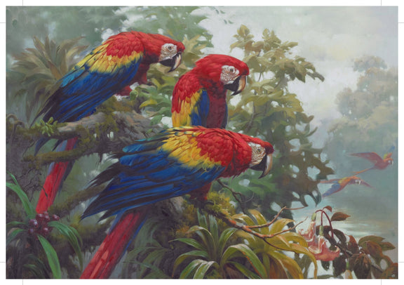 Animals Oil Painting - Scarlet Macaws in Tropical Rainforest - Oil Painting Haven