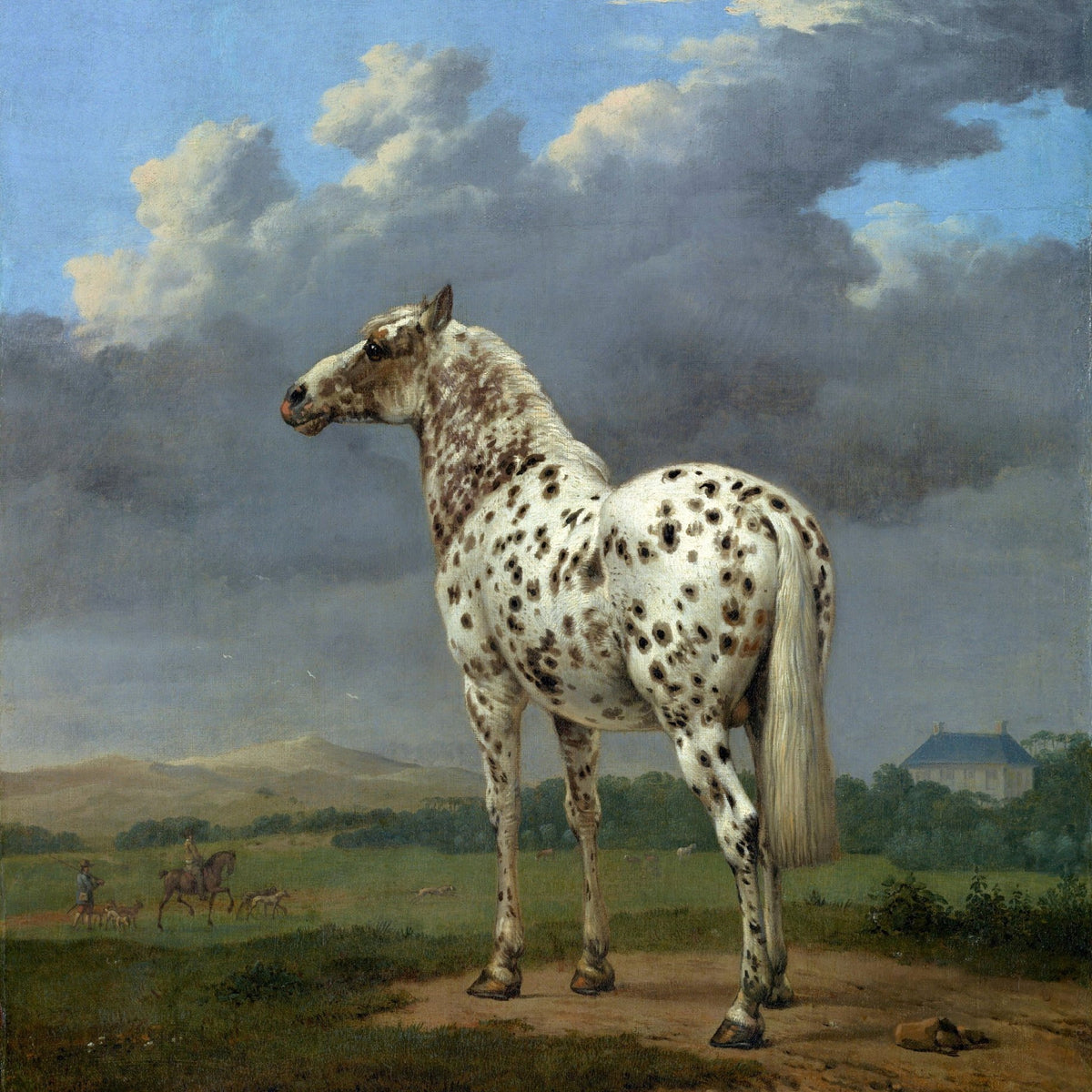 Animals Oil Painting - Spotted White Horse under Dramatic Sky - Oil Painting Haven