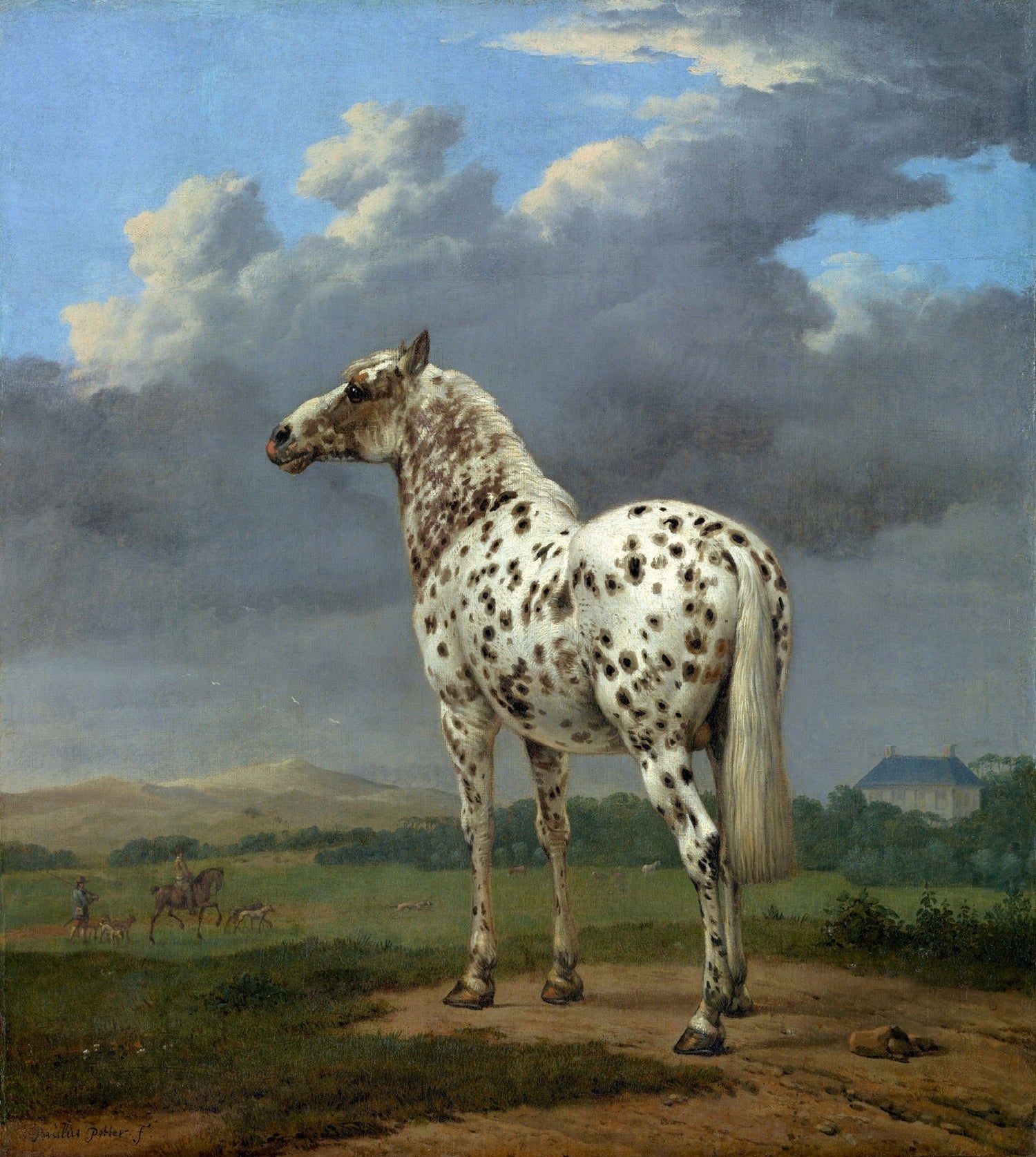 Animals Oil Painting - Spotted White Horse under Dramatic Sky - Oil Painting Haven