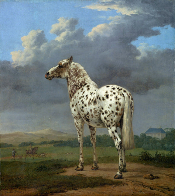 Animals Oil Painting - Spotted White Horse under Dramatic Sky - Oil Painting Haven
