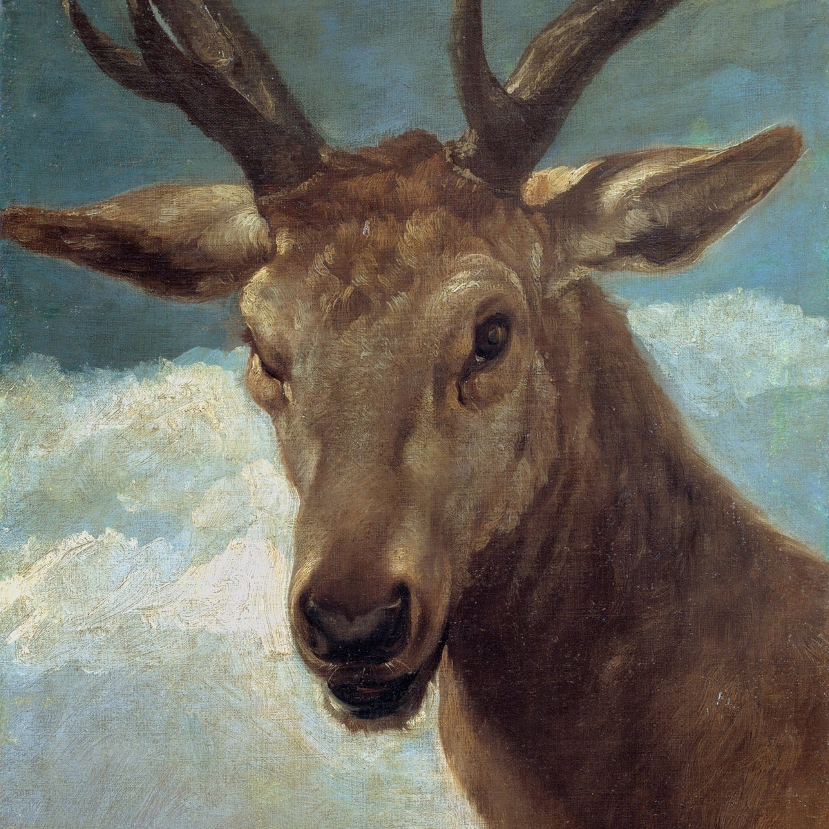 Animals Oil Painting - Stag Portrait with Antlers Against Sky - Oil Painting Haven