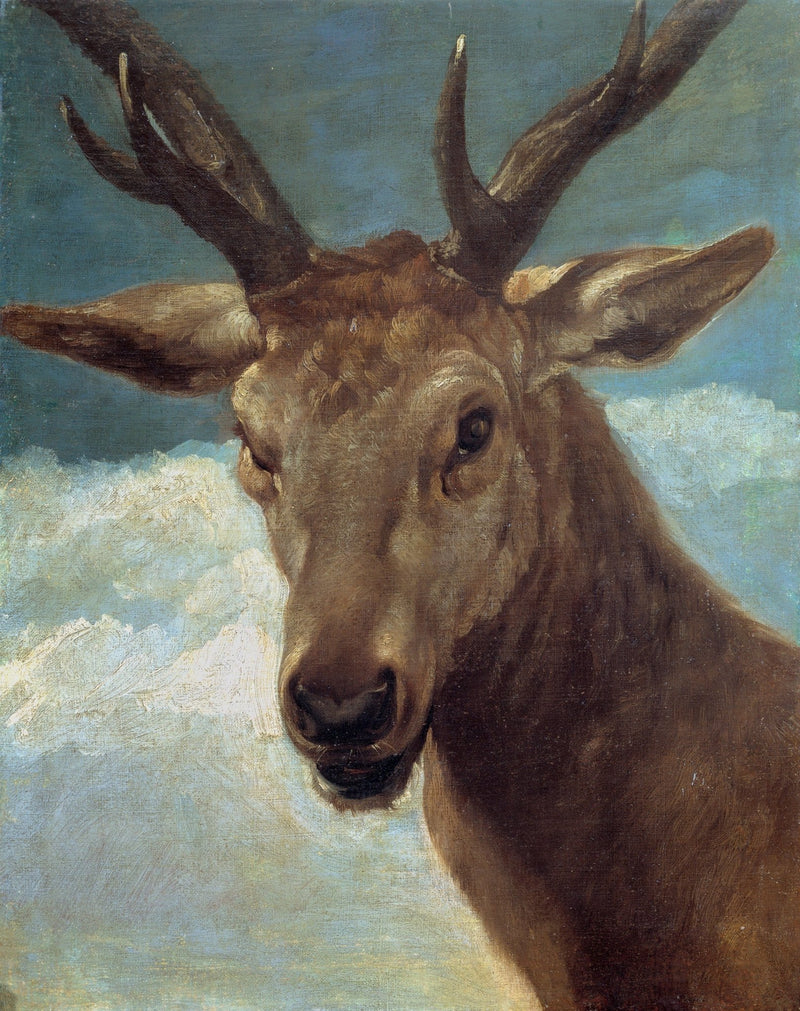 Animals Oil Painting - Stag Portrait with Antlers Against Sky - Oil Painting Haven