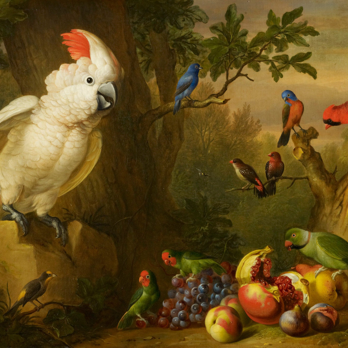 Animals Oil Painting - White Cockatoo with Exotic Birds and Fruit - Oil Painting Haven