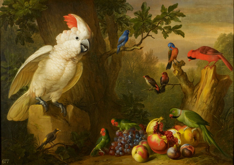 Animals Oil Painting - White Cockatoo with Exotic Birds and Fruit - Oil Painting Haven