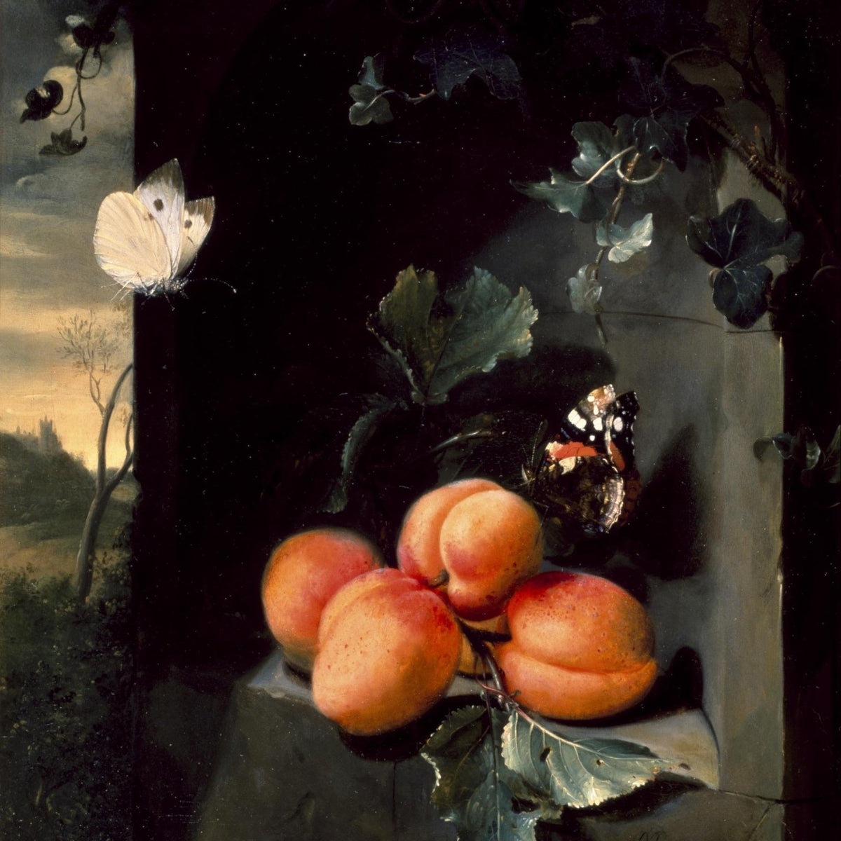 Apricots and Butterflies by Window - Still Life Oil Painting - Oil Painting Haven