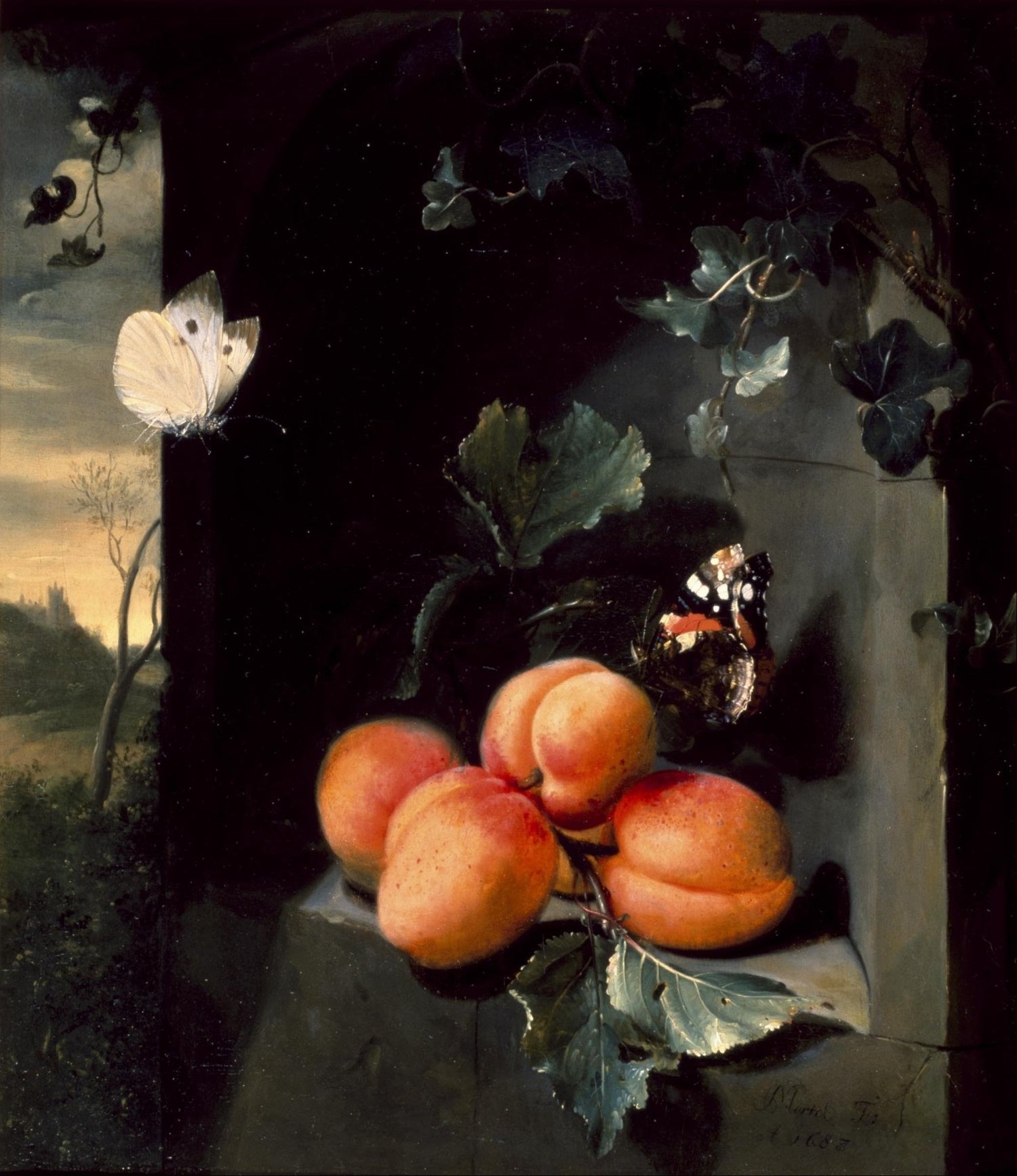 Apricots and Butterflies by Window - Still Life Oil Painting - Oil Painting Haven