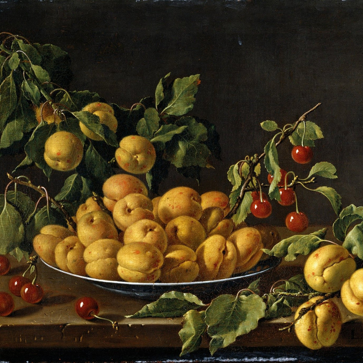 Apricots and Cherries on Plate - Still Life Oil Painting - Oil Painting Haven