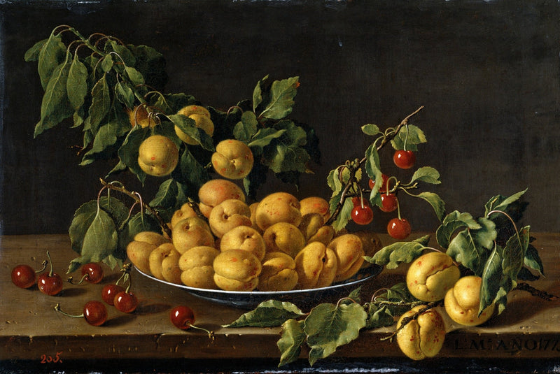 Apricots and Cherries on Plate - Still Life Oil Painting - Oil Painting Haven