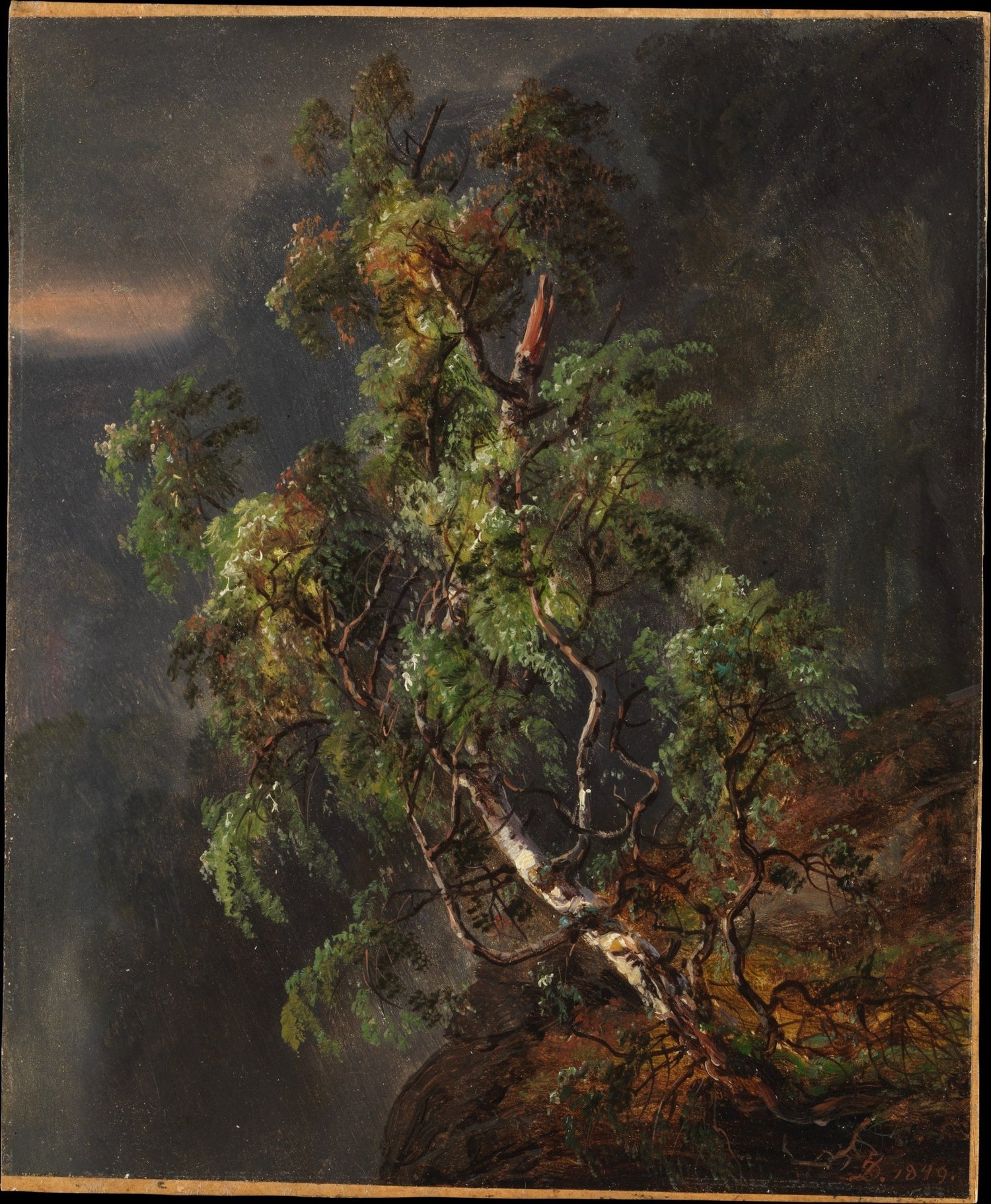 Birch Tree in Stormy Forest - Landscape Oil Painting - Oil Painting Haven