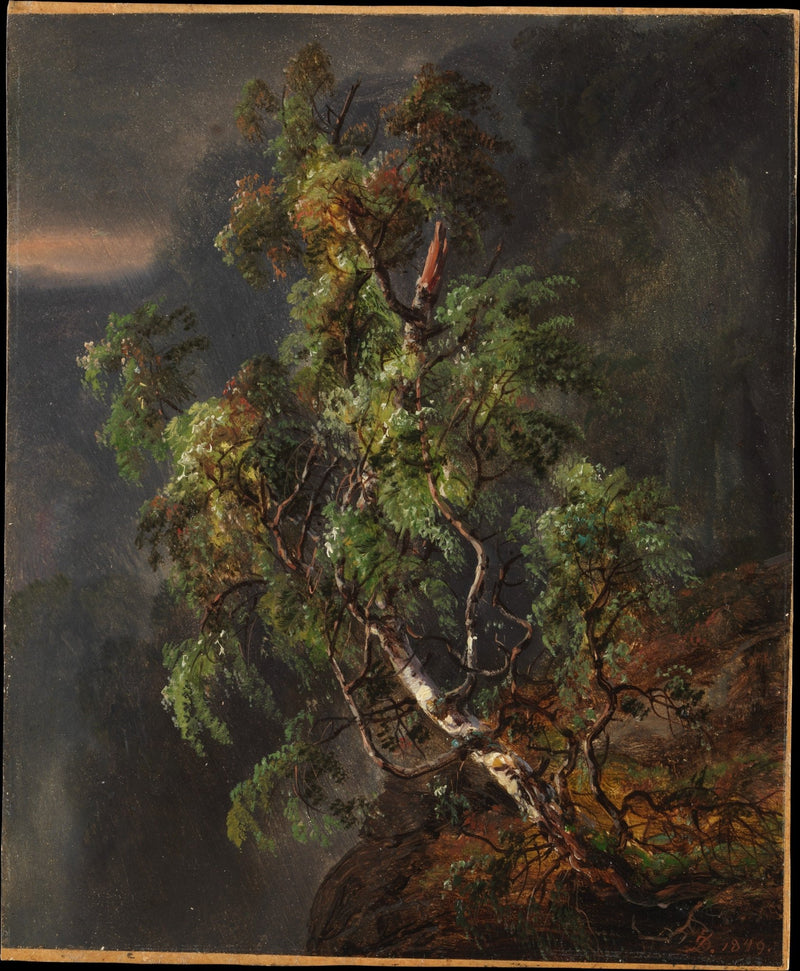 Birch Tree in Stormy Forest - Landscape Oil Painting - Oil Painting Haven