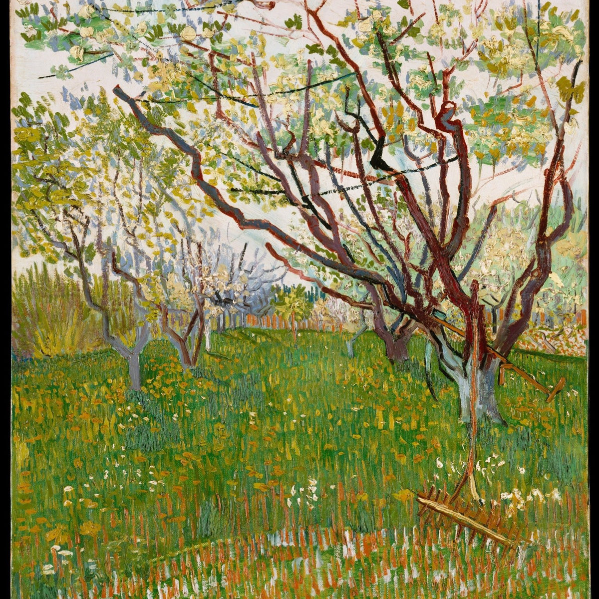 Blooming Orchard Trees in Spring Field - Landscape Oil Painting - Oil Painting Haven