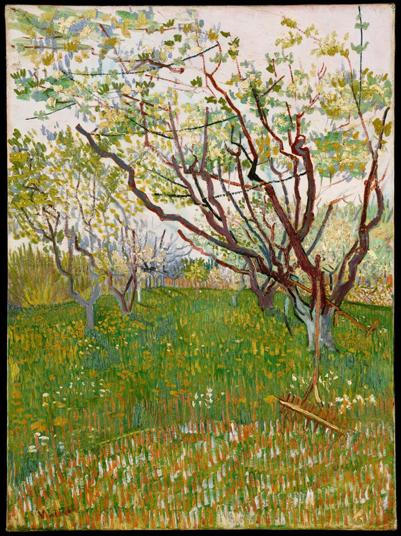 Blooming Orchard Trees in Spring Field - Landscape Oil Painting - Oil Painting Haven