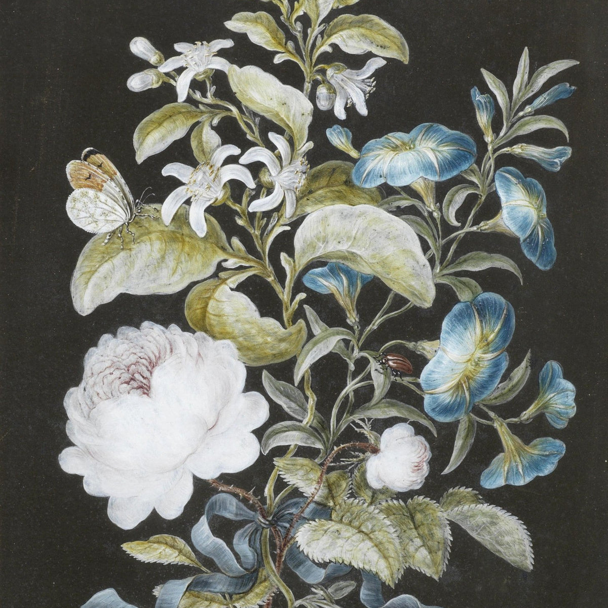 Botanical White Peony and Blue Wildflowers – Floral Oil Painting - Oil Painting Haven
